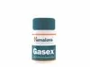 Gasex Gasex