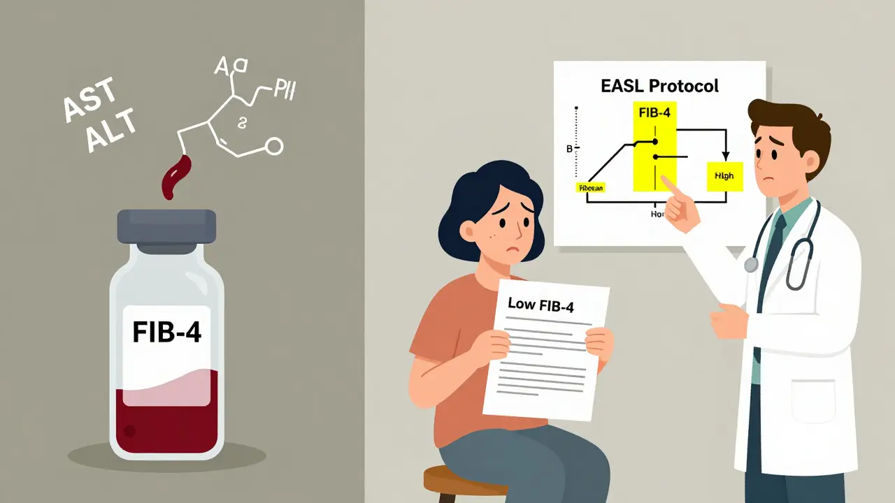 A split illustration comparing a blood test formula for FIB-4 with a patient holding conflicting liver test results, guided by a doctor.