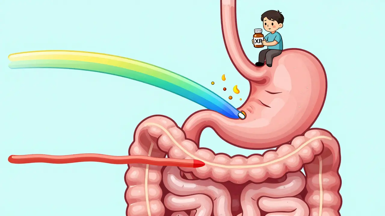A digestive tract visualized with three drug release patterns: a spike, a wave, and a smooth line, with a patient observing side effects.