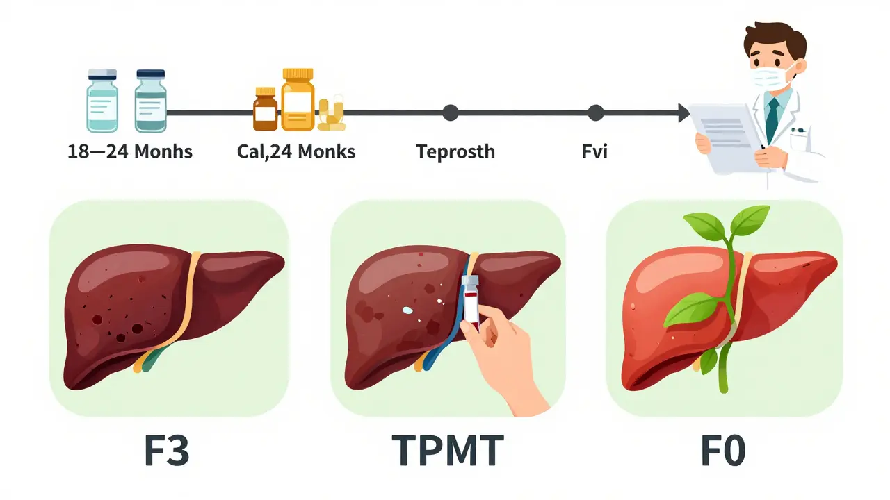 Three-panel visual of liver fibrosis reversal through diagnosis, treatment, and healing over 18–24 months.